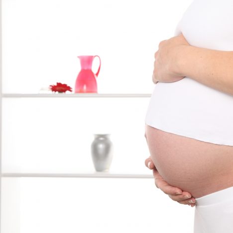 alimentación en el tercer trimestre de embarazo