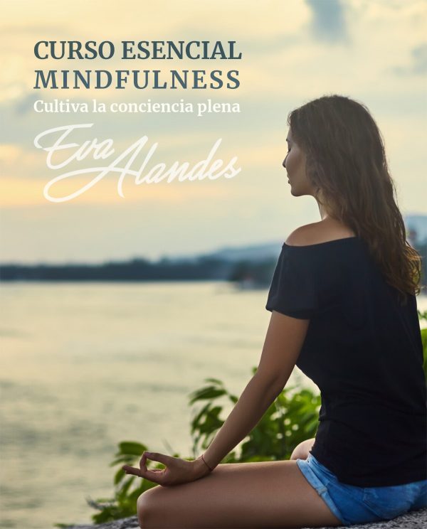 portada dossier Curso Esencial Mindfulness